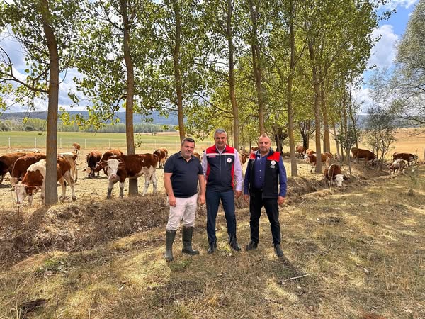 İhsangazi’de Hayvancılık Çalışmaları Yerinde Incelendi (3)