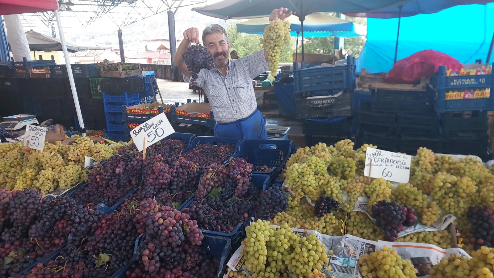 Kastamonu Pazarında Fiyatı Yarı Yarıya Düştü (2)