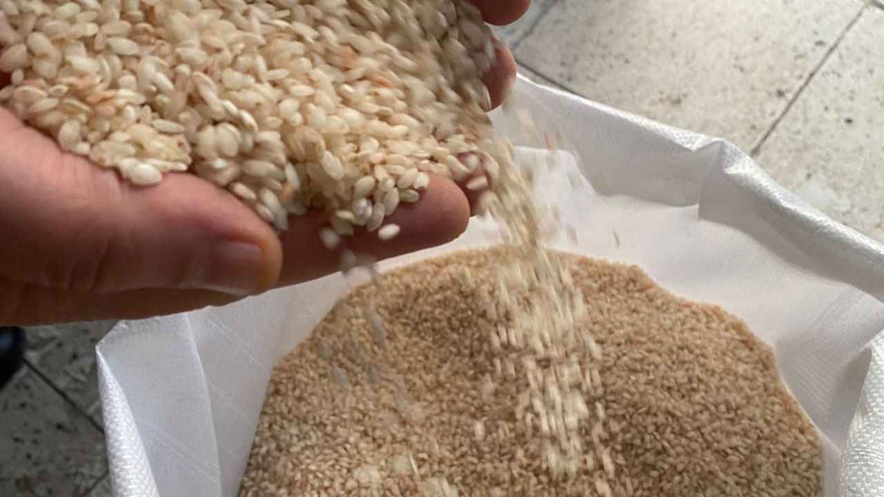 Sarıkılçık Pirinci Cep Yakıyor