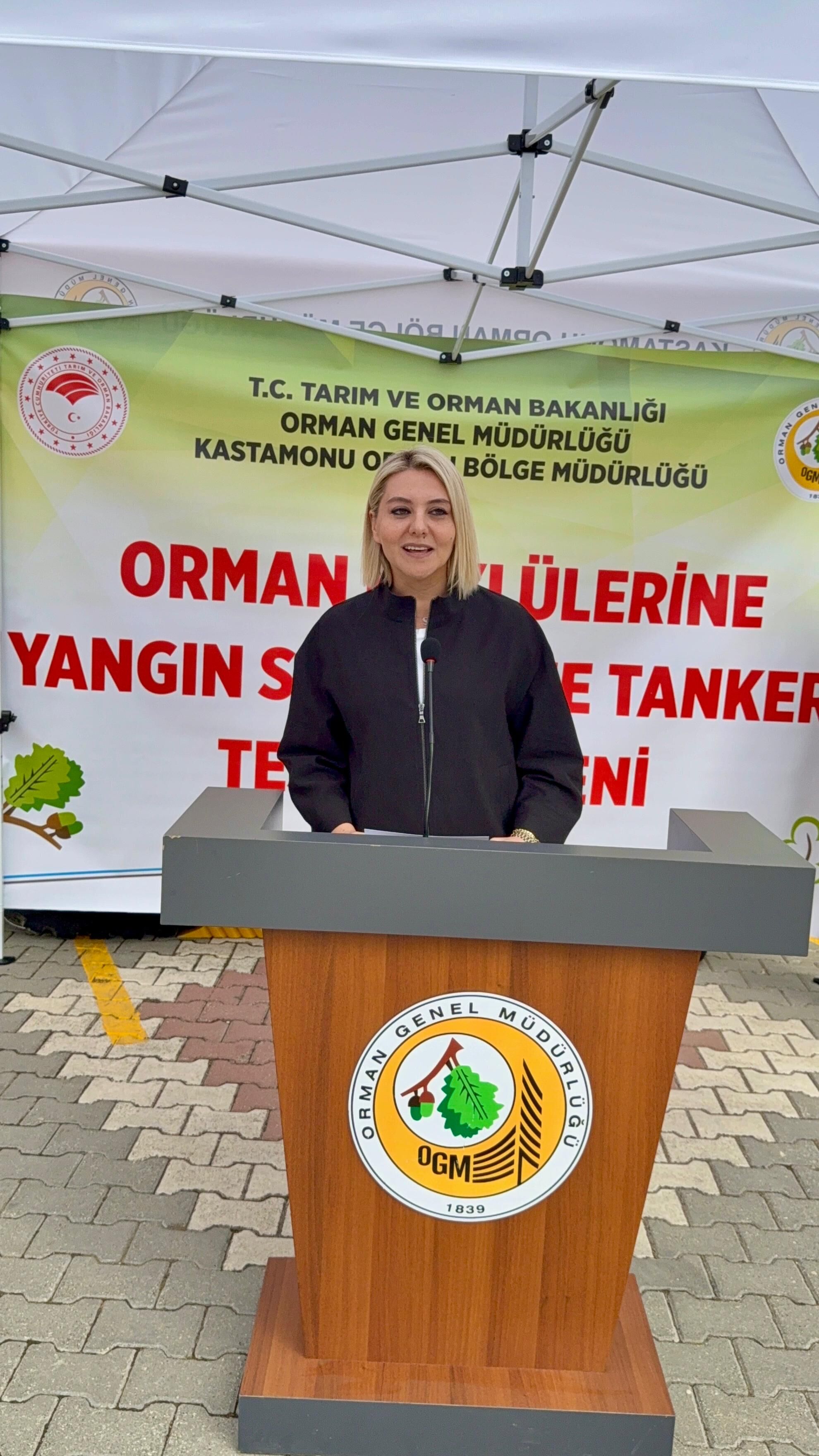 Serap Ekmekci-orman