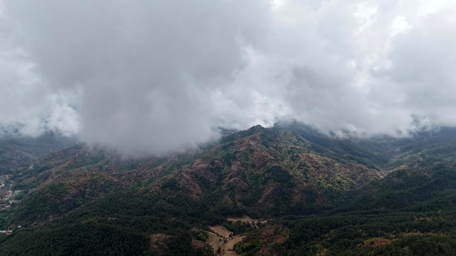 Sis Ormanları Sarınca Kastamonu Masala Döndü (3)
