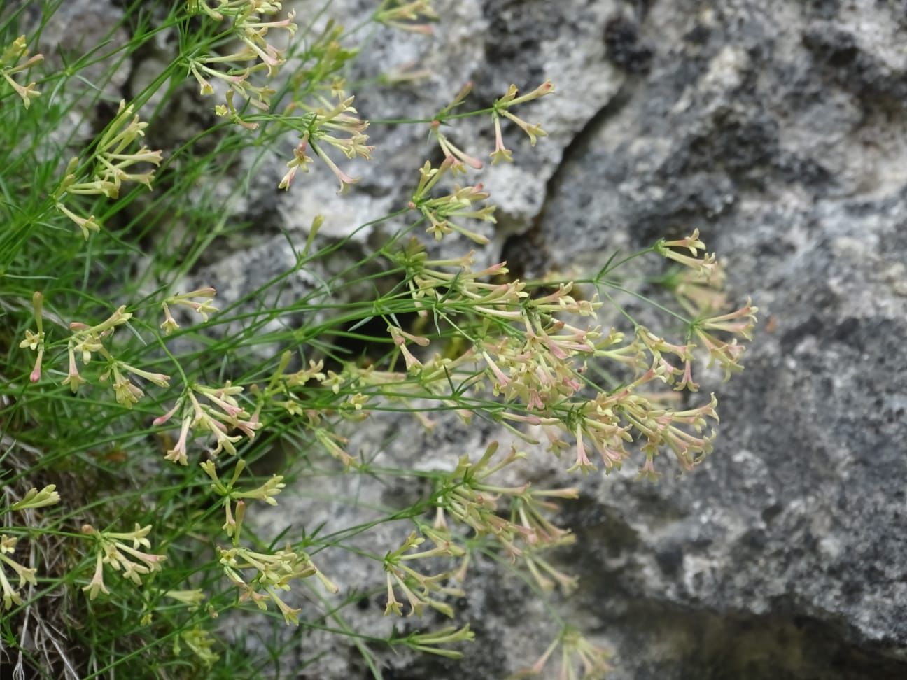 Whatsapp Görsel 2025 09 20 Saat 09.13.57 F9E6F360