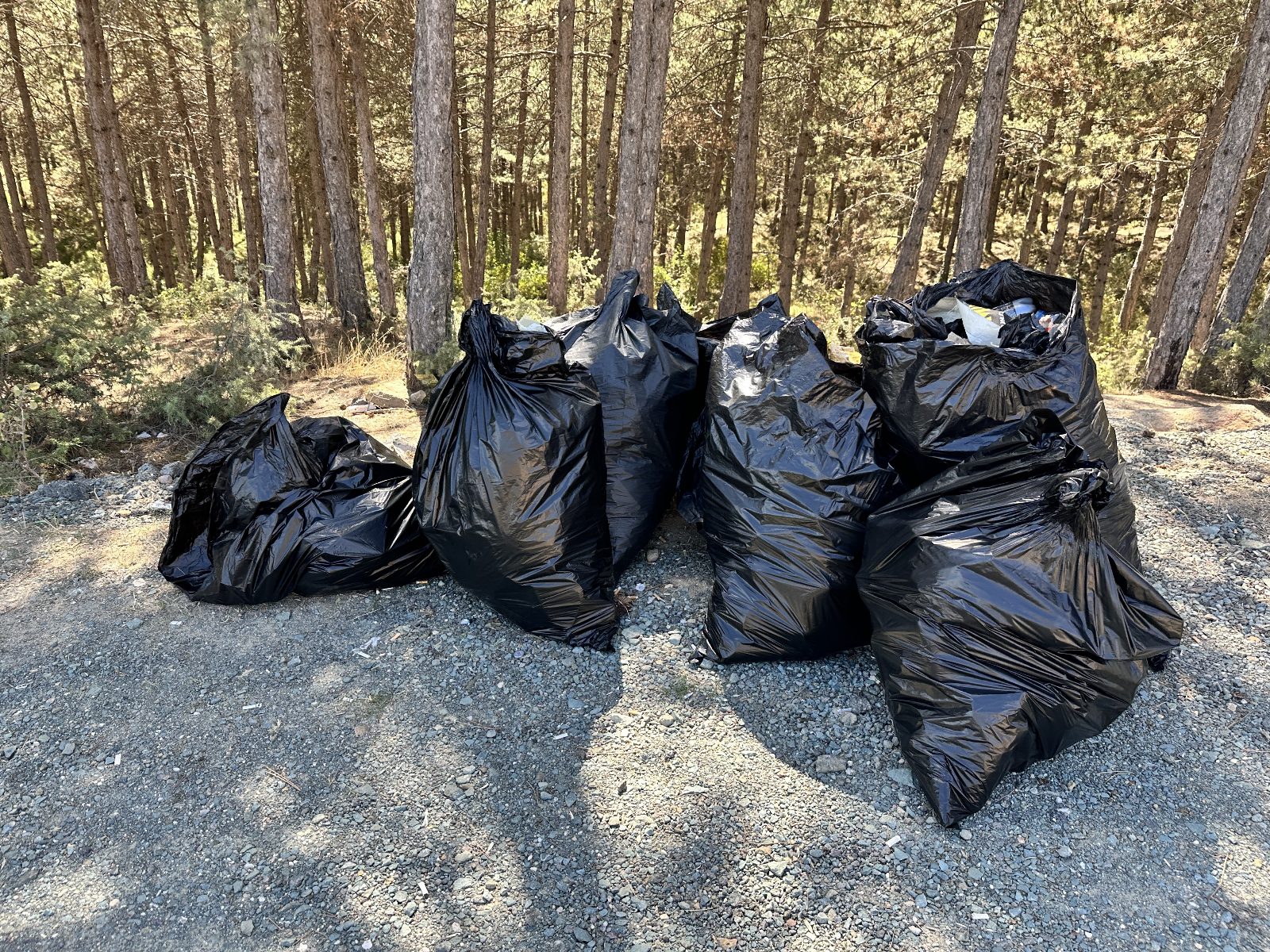 Whatsapp Görsel 2025 09 20 Saat 21.40.07 0110D5C4