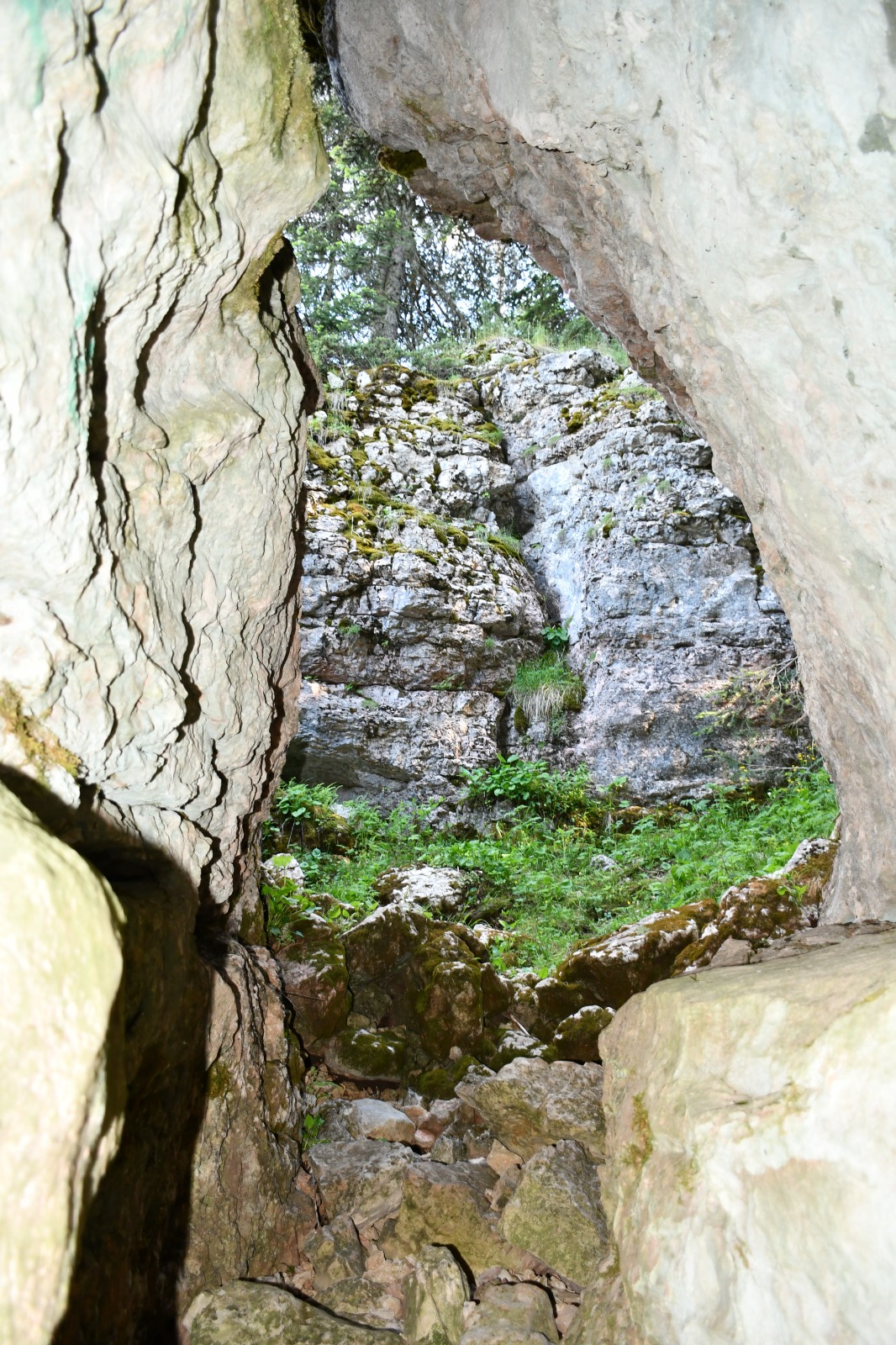 Cb4660Bb Fc52 448E B81D 239F65Bd4376