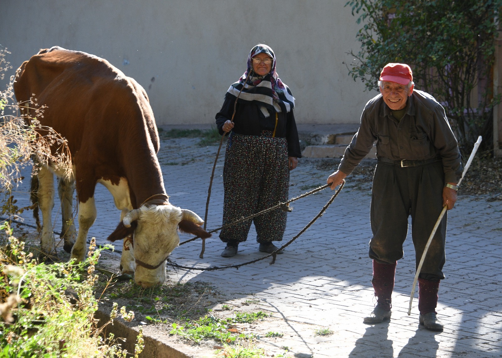 Cebrail Keles Kose (2)-25