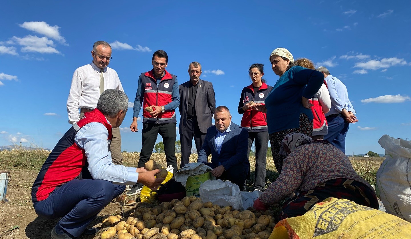 Devrekani’de Patates Hasadı Gerçekleştirildi