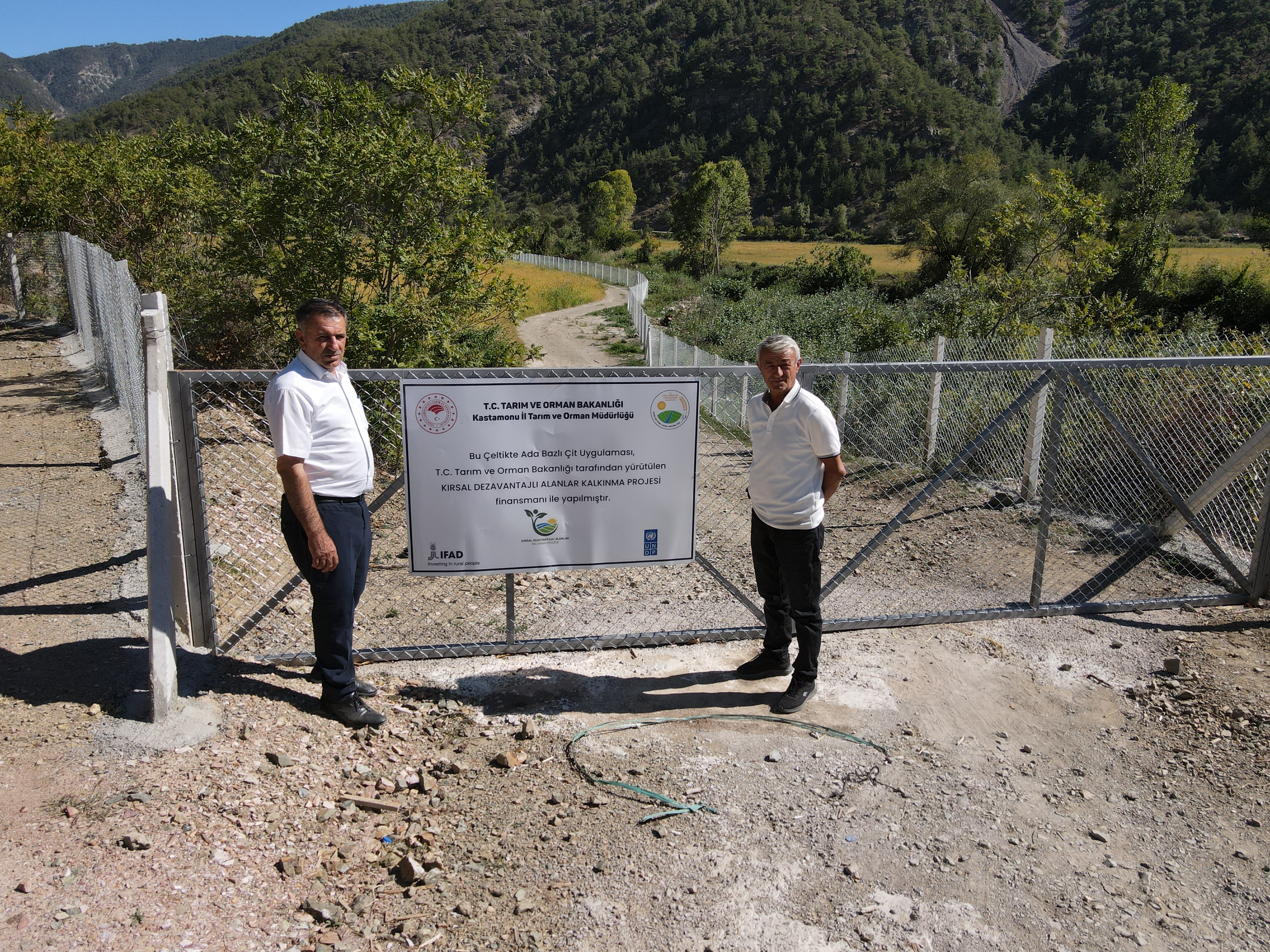 Domuzların Talan Ettiği Çeltik Tarlaları Yeniden Verimle Buluştu (2)