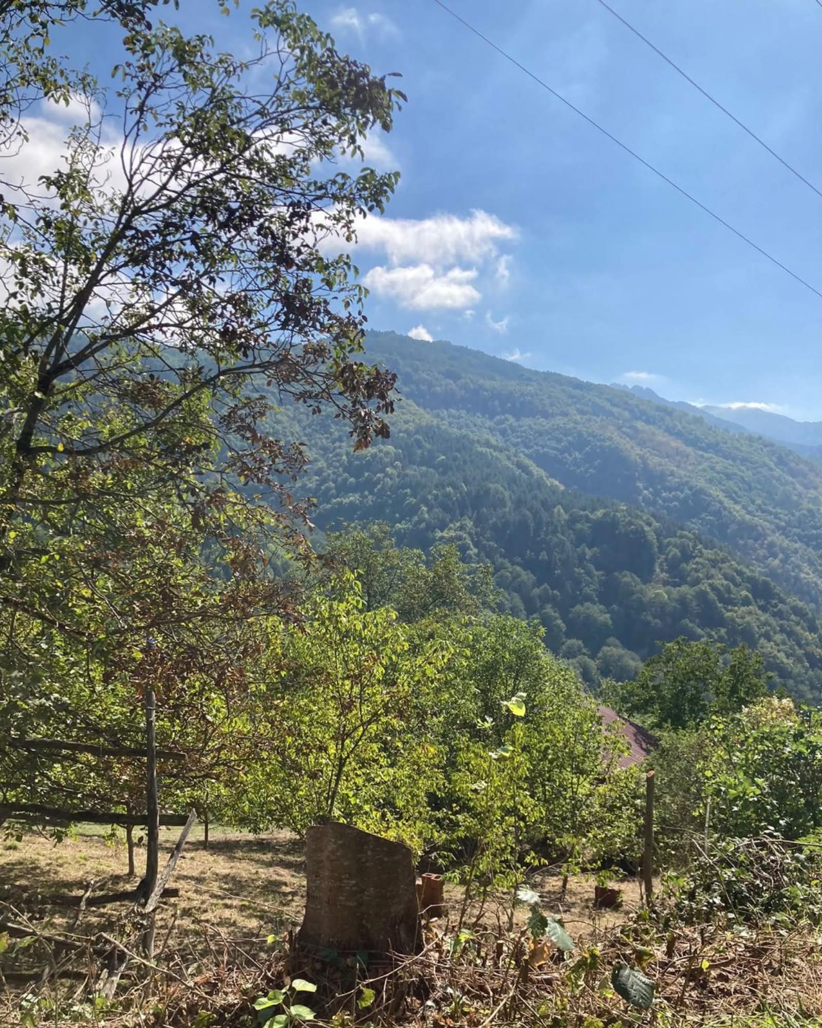 F B I M G 1760204209171