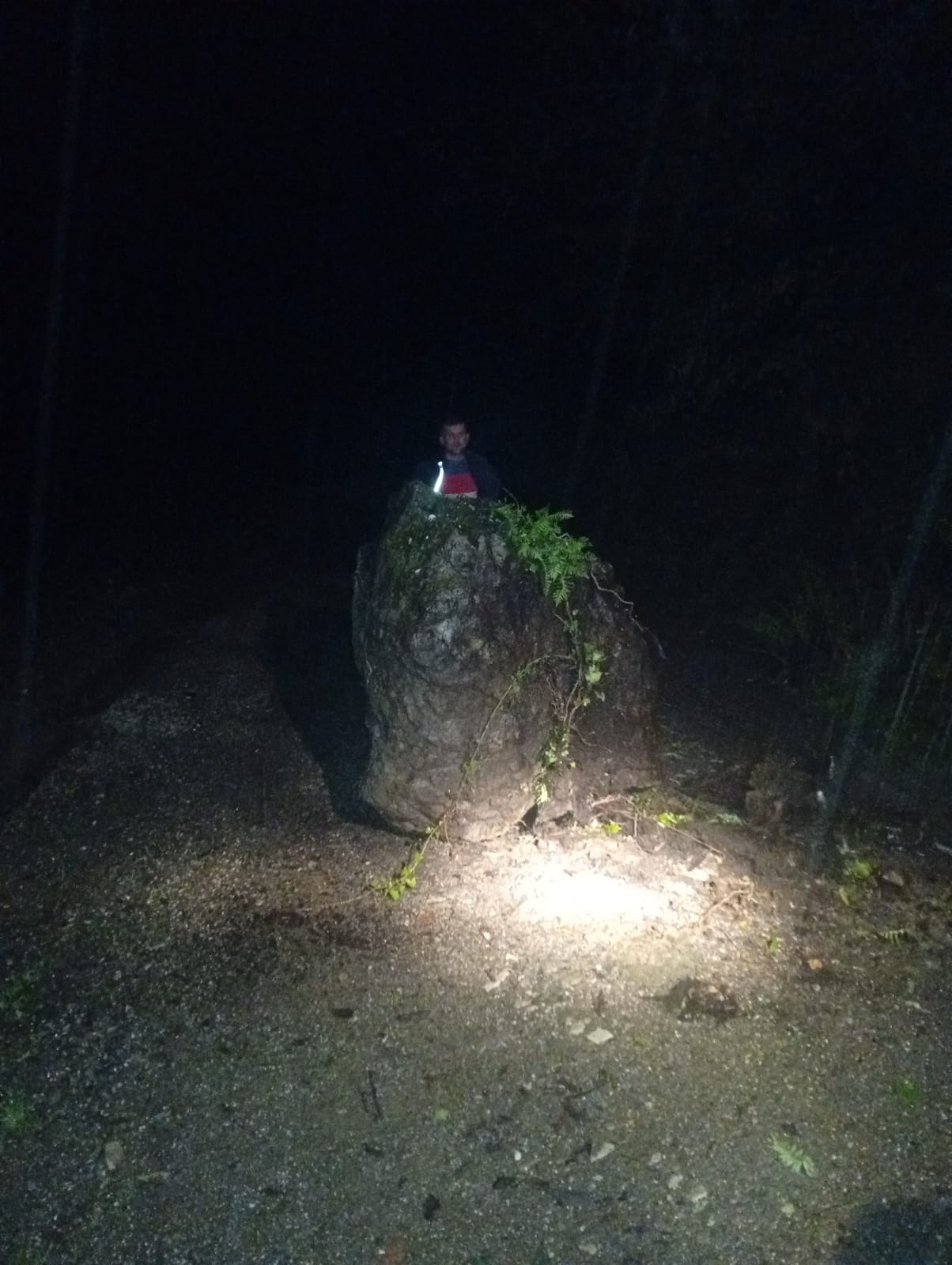 I M G 20251028 W A0011