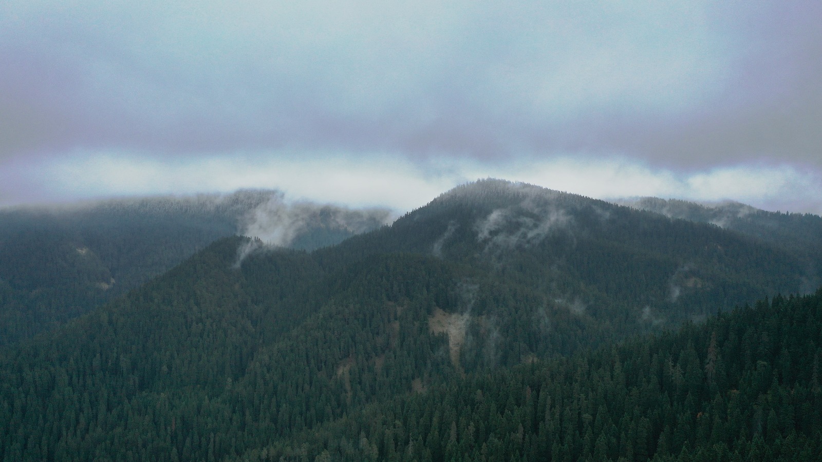 Ilgaz Beyaz Gelinliğini Giydi (1)