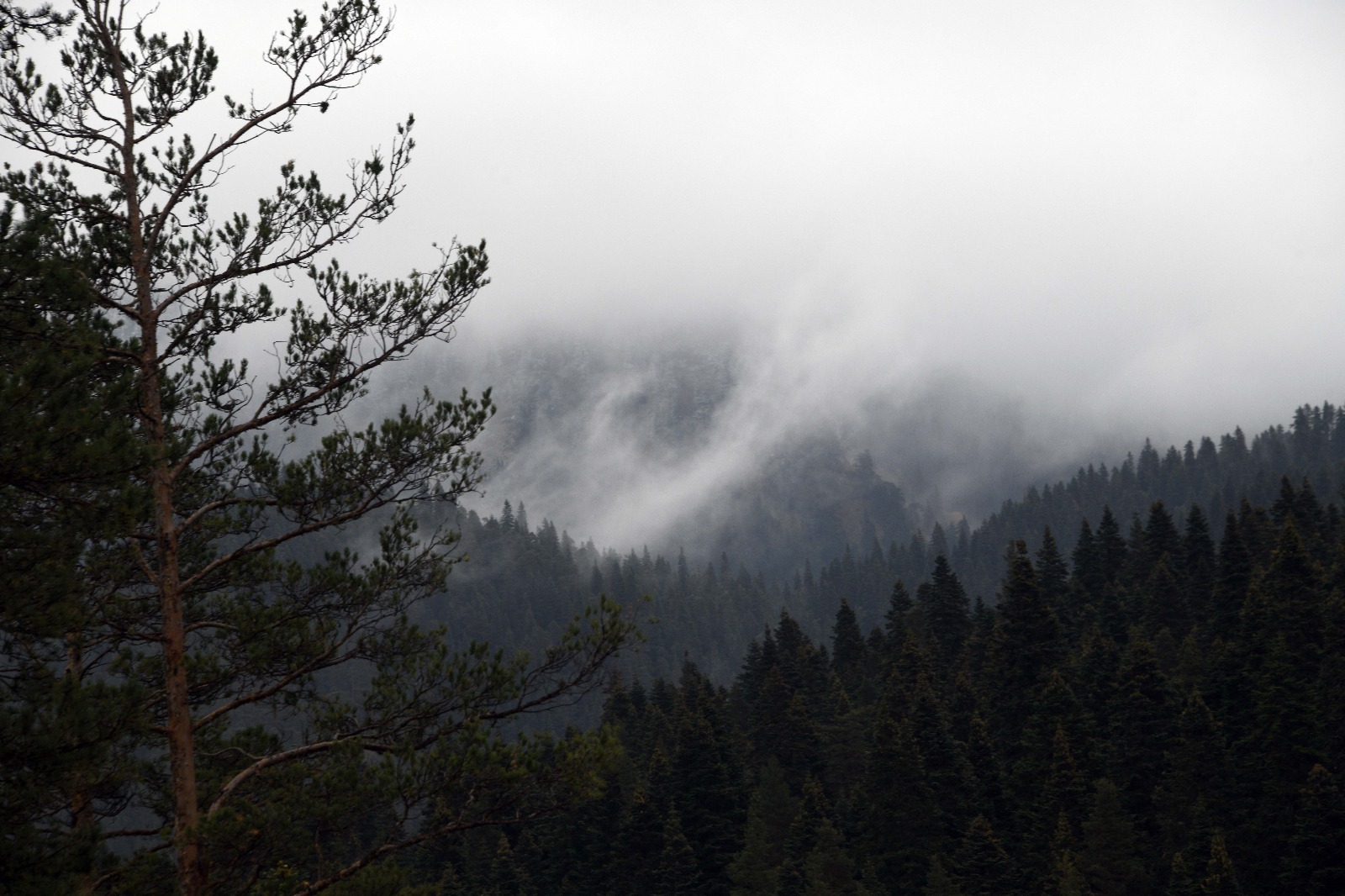 Ilgaz Beyaz Gelinliğini Giydi (3)