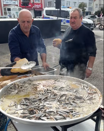 Inebolu Hamsi Festivali
