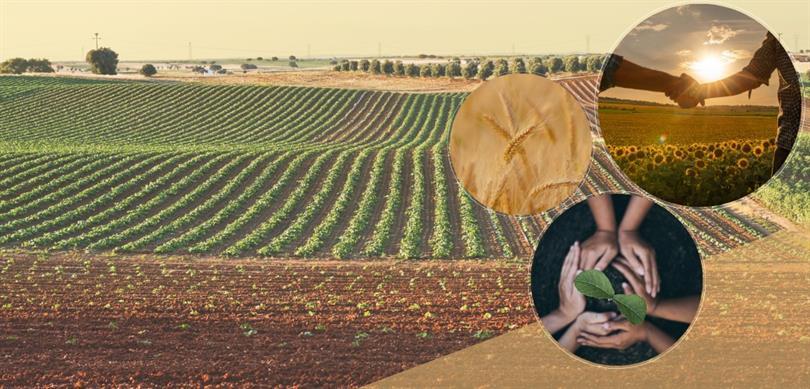 Kastamonu Dsyb Birinci Derece Tarımsal Örgüt Seçildi (1)