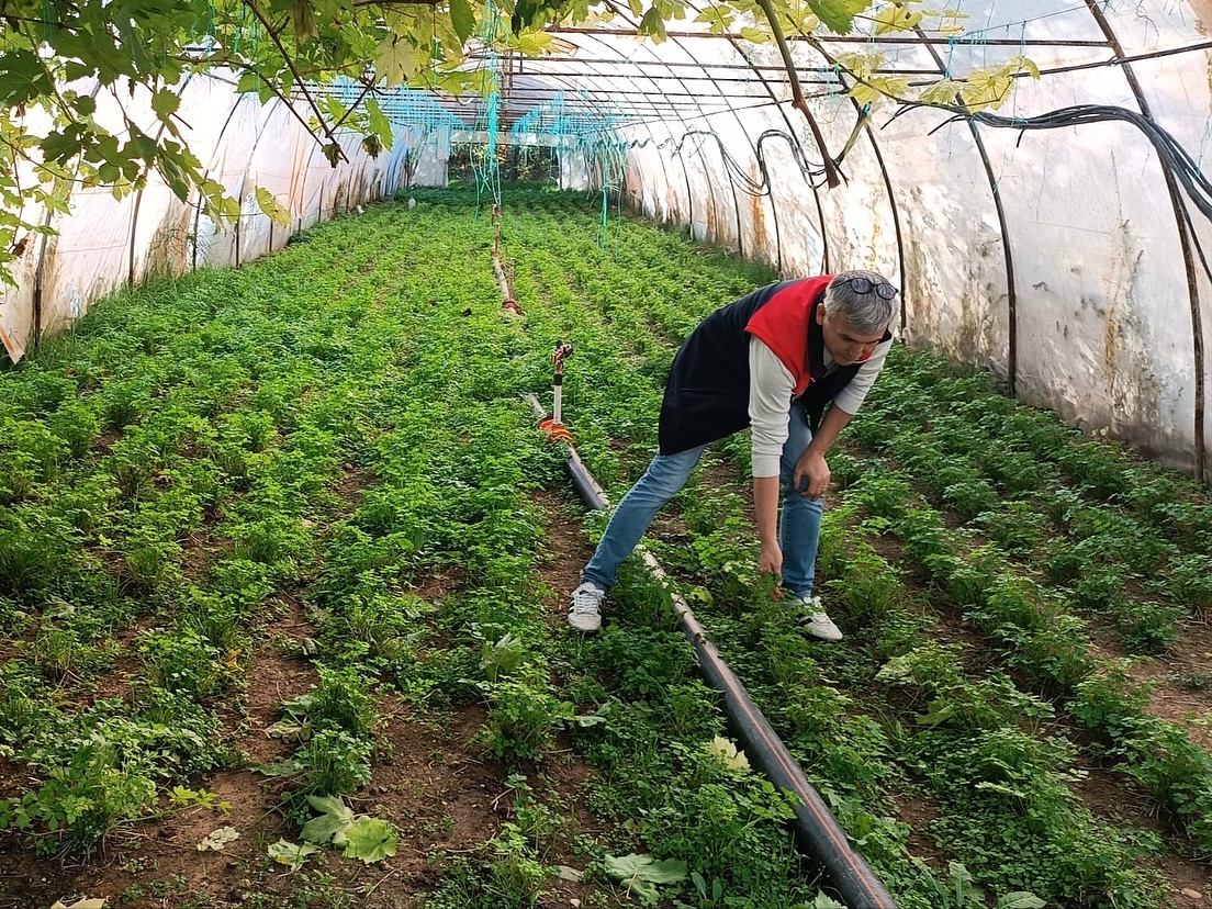 Kastamonu Il Tarım Ve Orman Müdürlüğü (1)-3