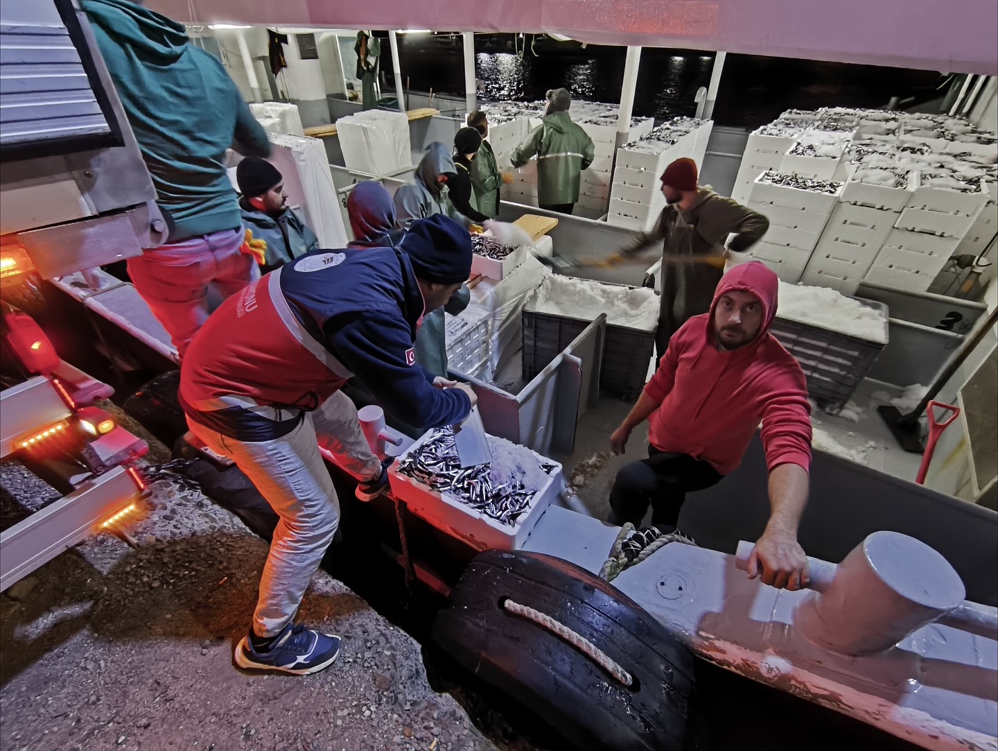 Kastamonu Il Tarım Ve Orman Müdürlüğü (2)-3