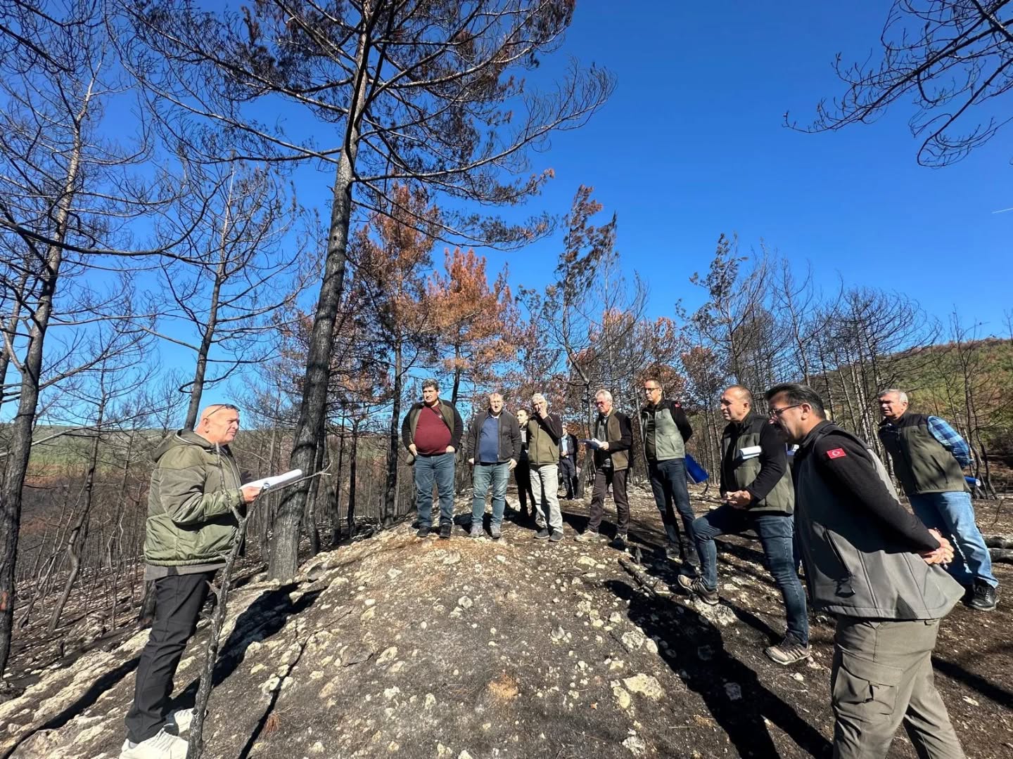 Kastamonu Orman Bölge (1)-2