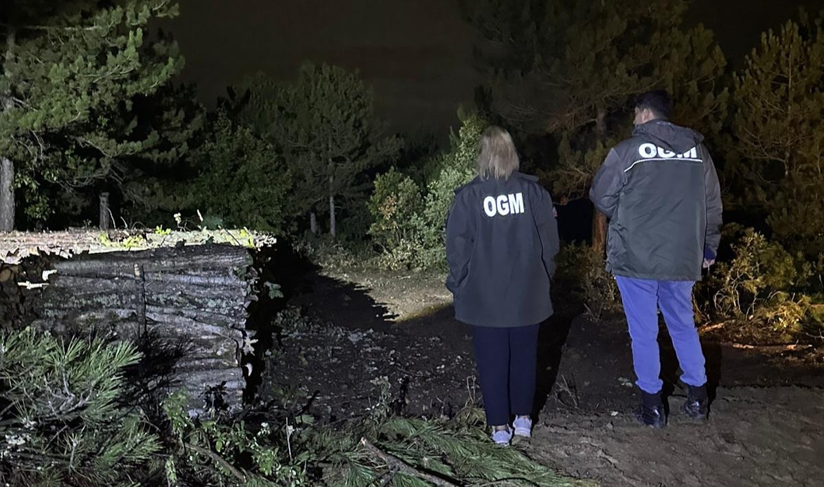 Kastamonu Ormanlarında Gece Boyu Nöbet (2)