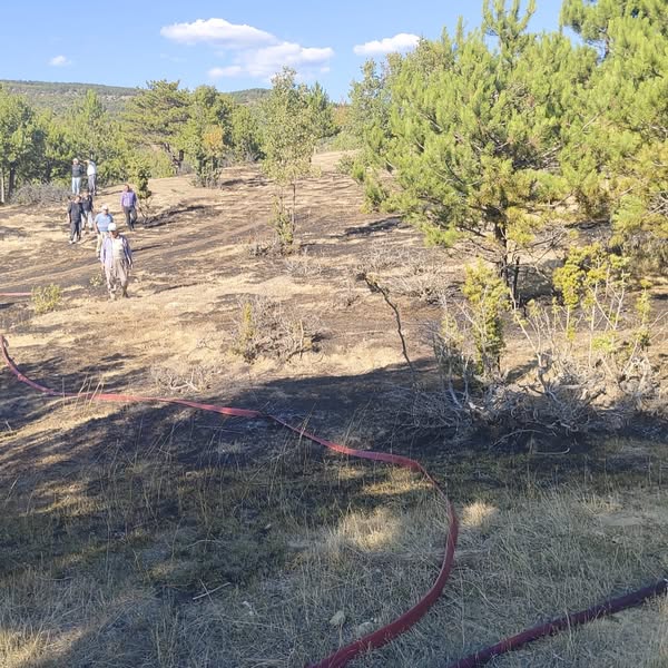 Kastamonu Yangın (2)-2