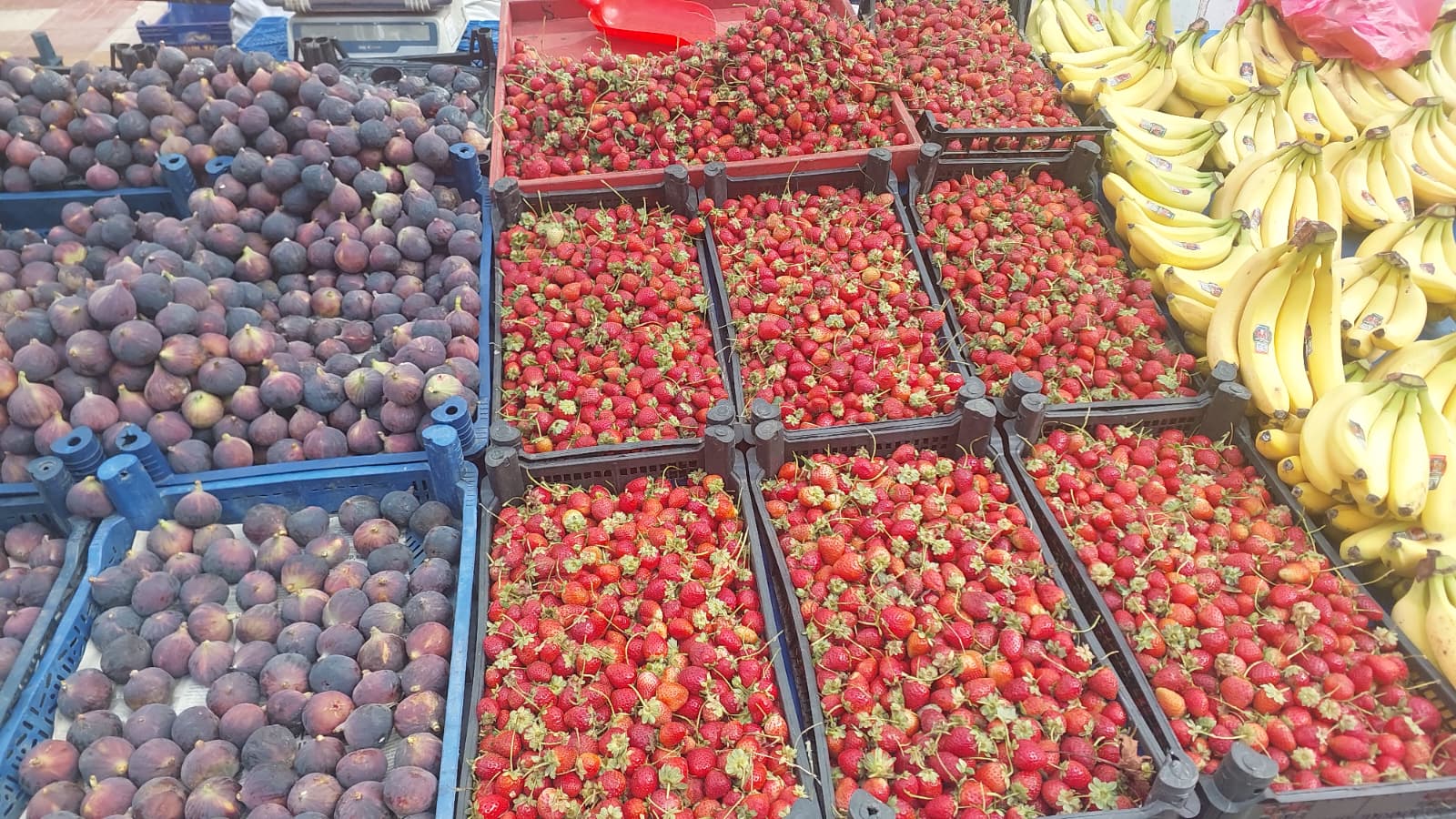 Kastamonu'da Dağların Bereketi Pazara Taşındı (2)