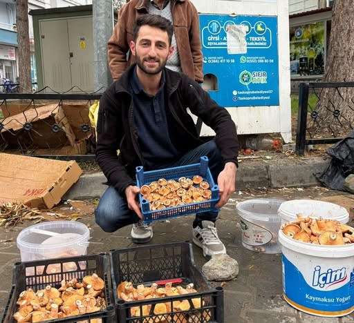 Kastamonu'da Kanlıca Mantarı 250 Tl’den Satılıyor