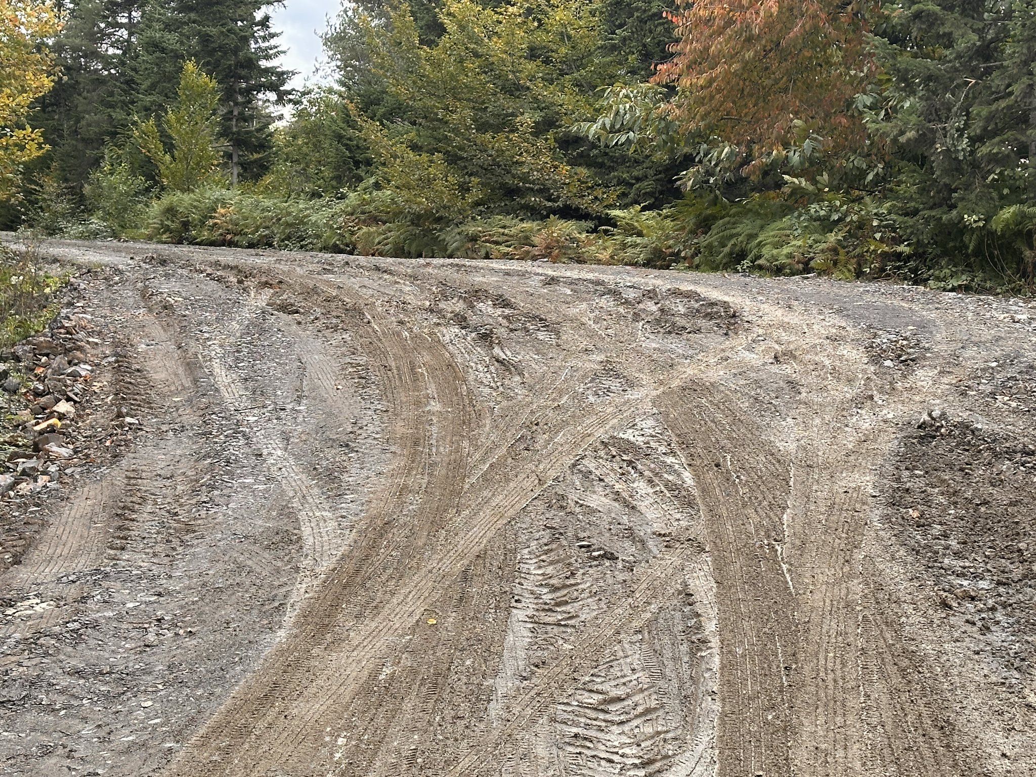 Kastamonu'da Köy Yolu Çamur Deryasına Döndü (2)