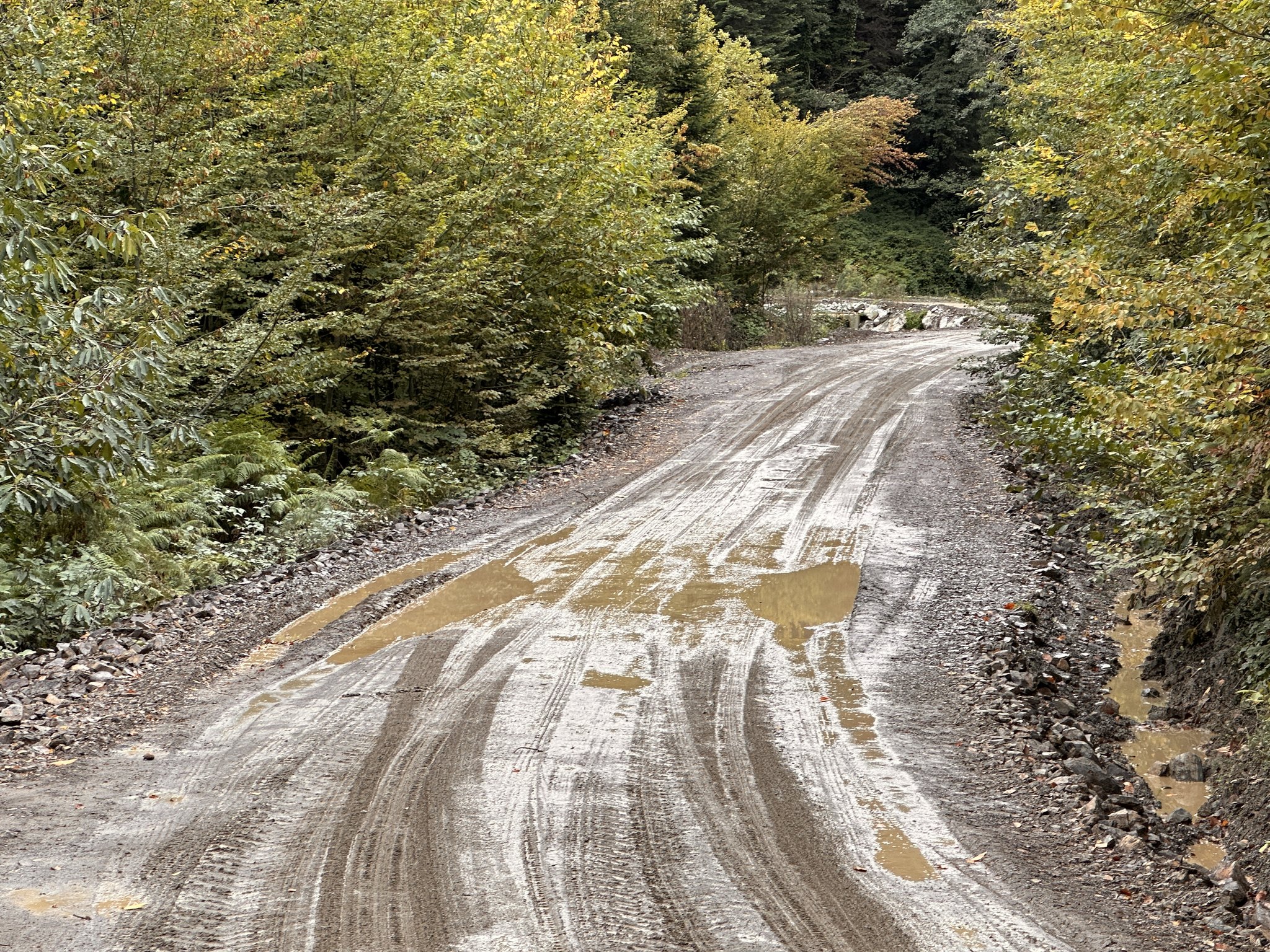 Kastamonu'da Köy Yolu Çamur Deryasına Döndü (3)