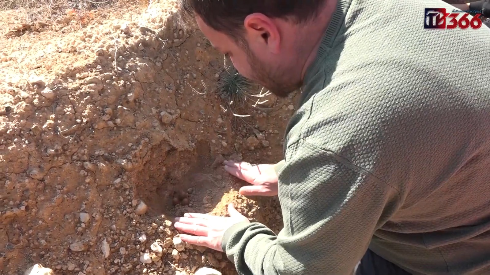 Kastamonu’da Minikler, Kendi Yetiştirdikleri Fidanları Dikti (2)