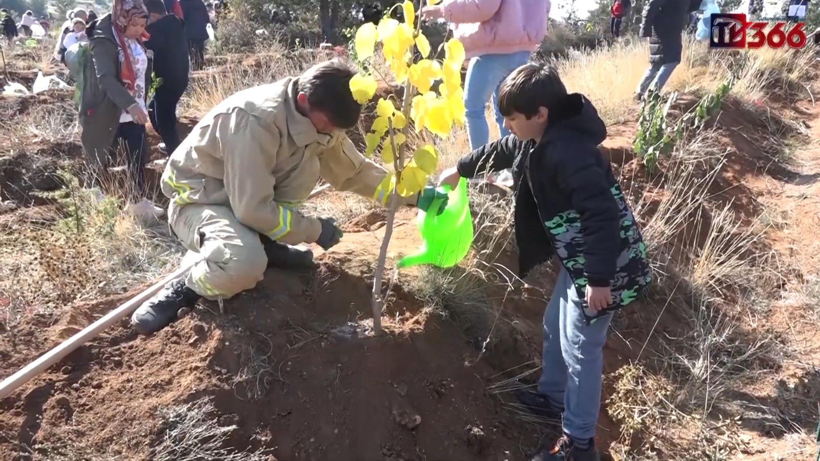 Kastamonu’da Minikler, Kendi Yetiştirdikleri Fidanları Dikti (4)
