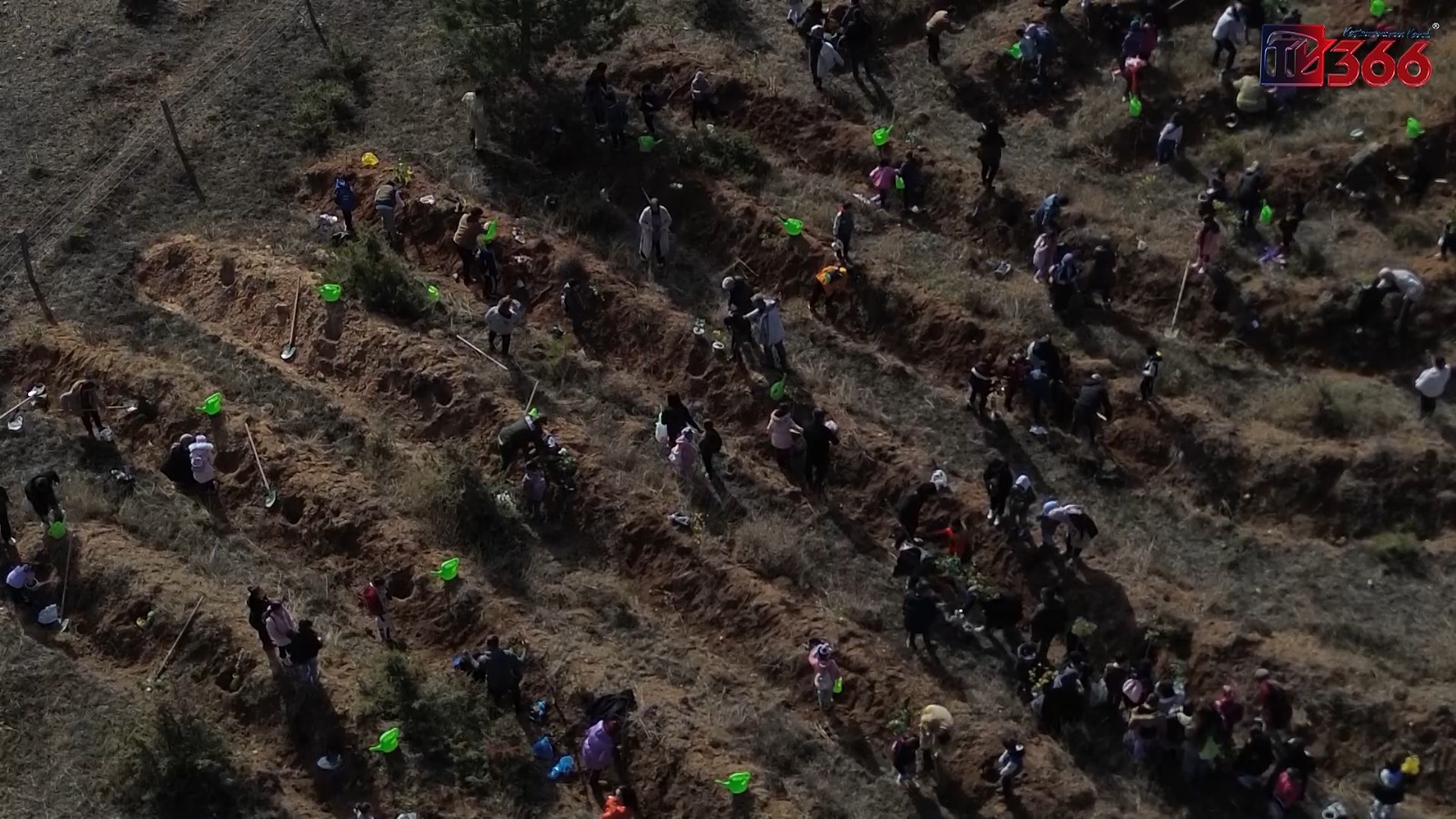 Kastamonu’da Minikler, Kendi Yetiştirdikleri Fidanları Dikti (5)