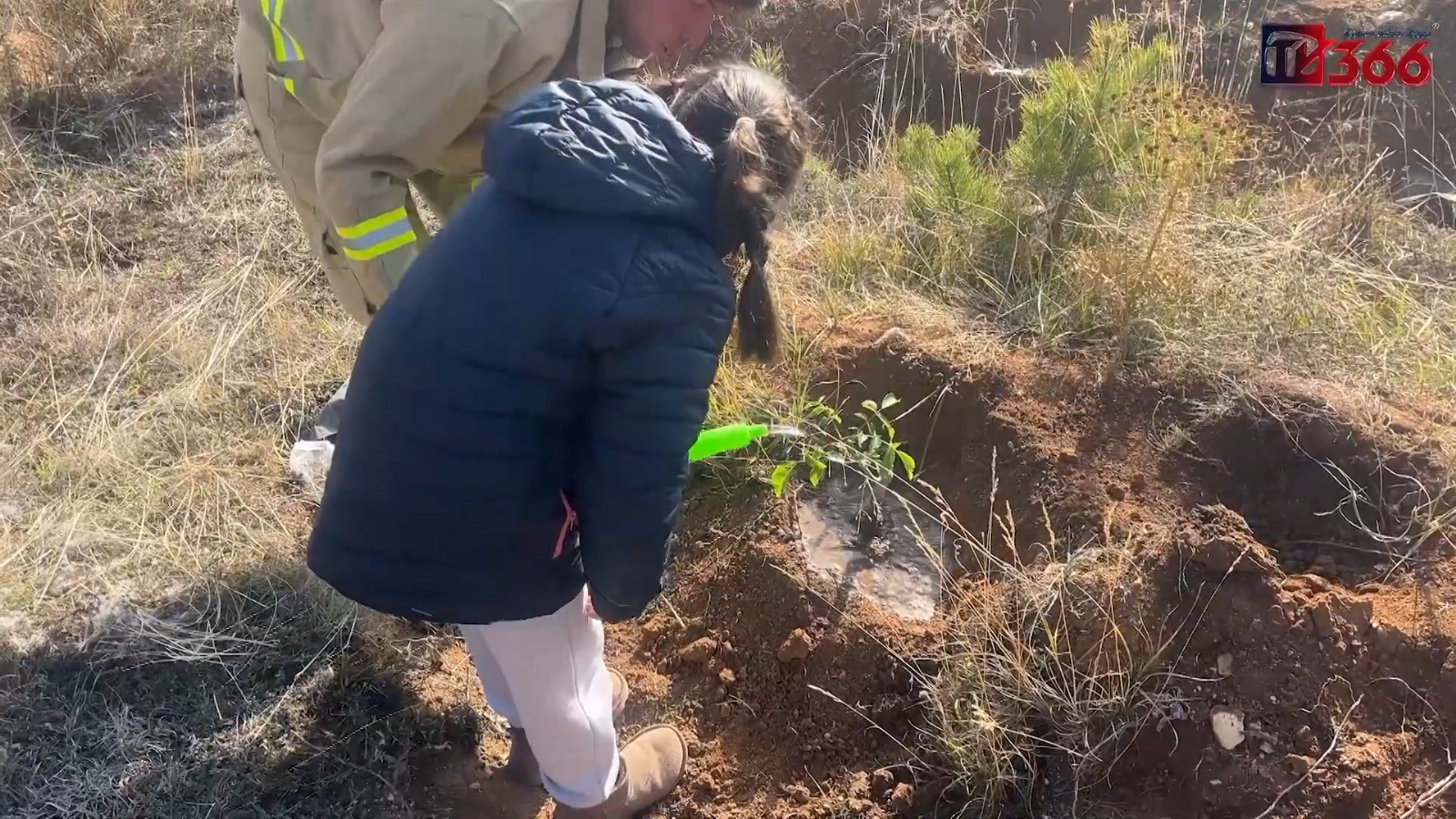 Kastamonu’da Minikler, Kendi Yetiştirdikleri Fidanları Dikti (6)
