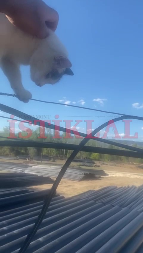 Kastamonu'da Vicdanın Sıcak Eli Bu Kez Kepce Oldu (2)