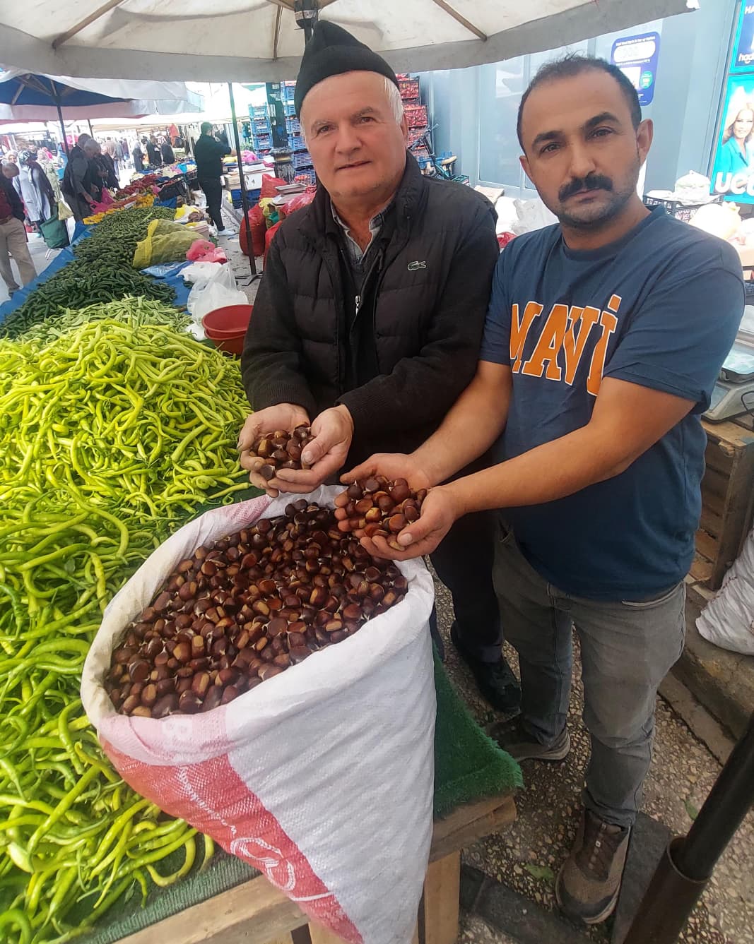 Kestane Kıtlığı Fiyatlara Yansıdı (1)
