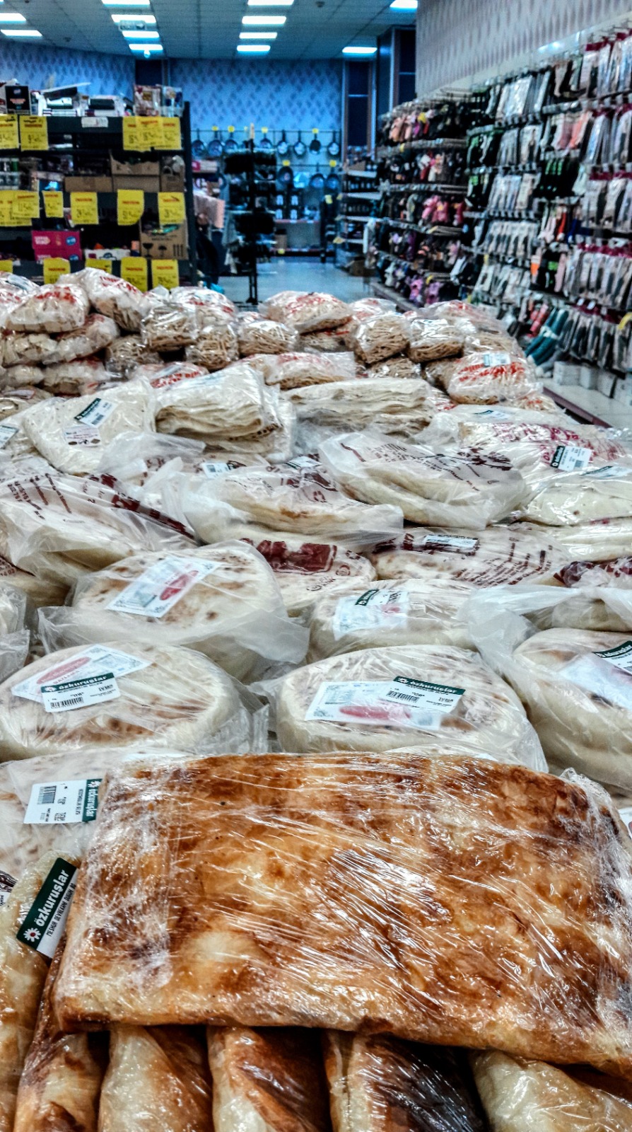 Mine Ozgur Kose (1)-22