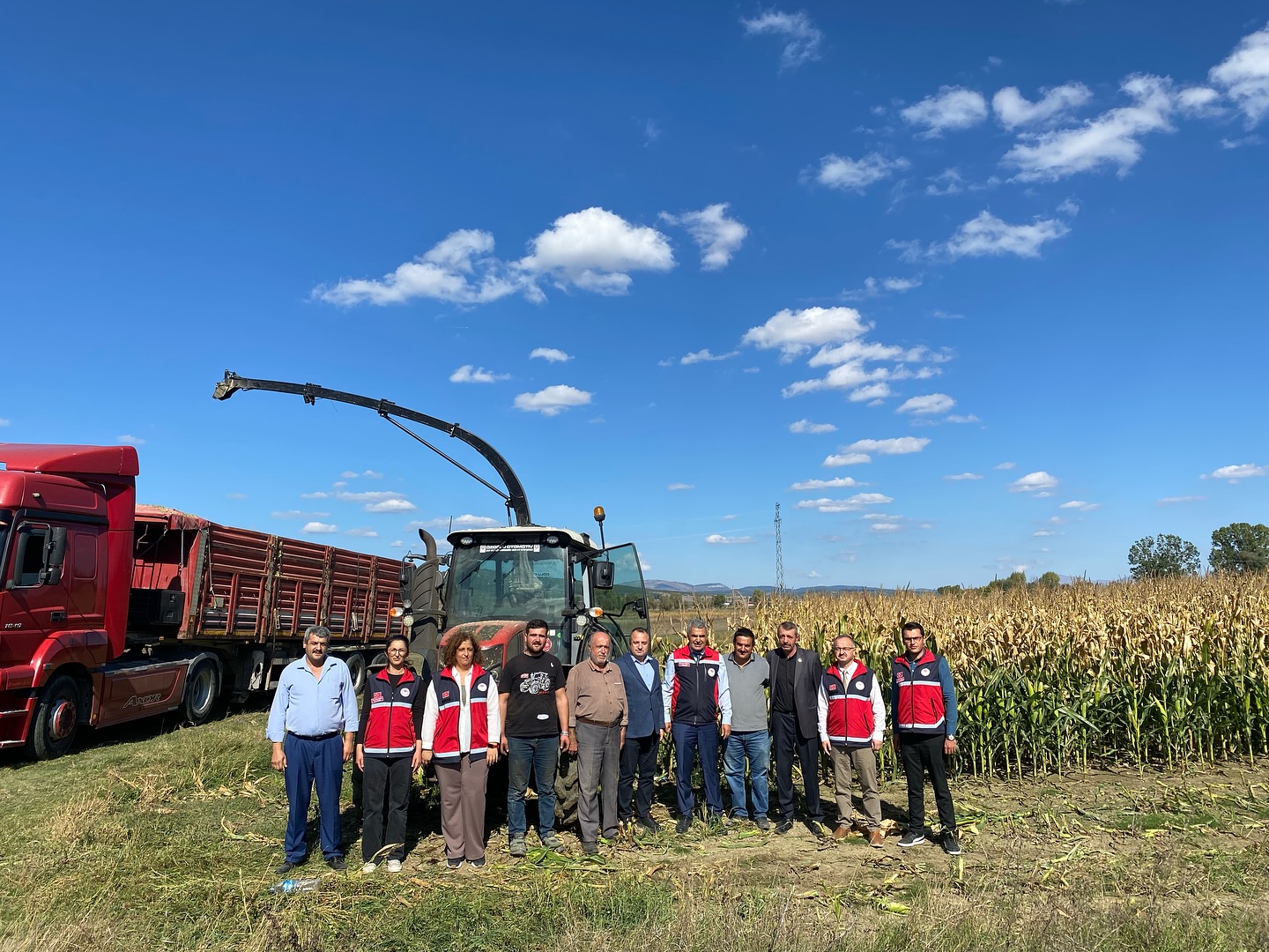 Silajlık Mısır (2)