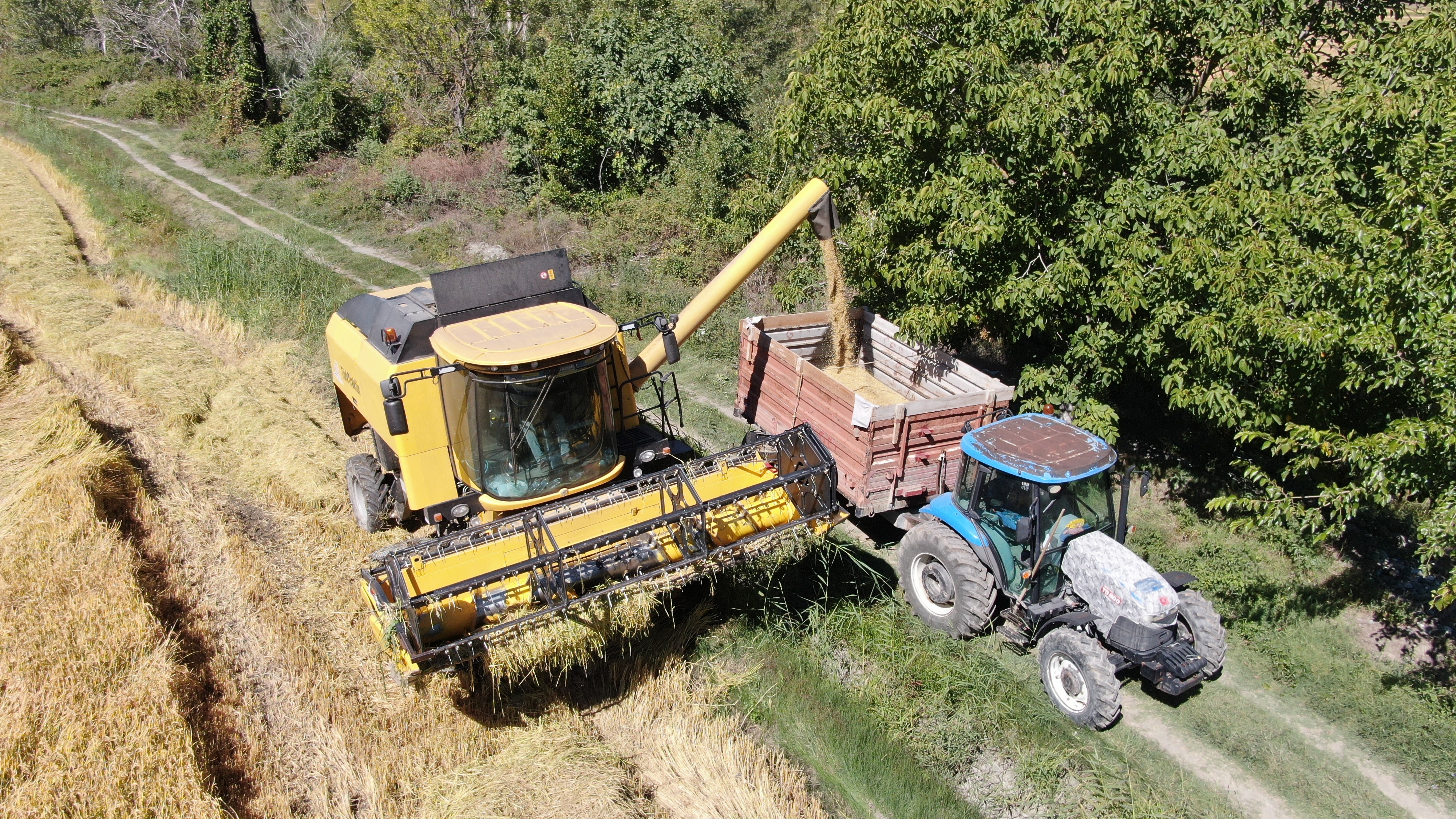 Susuzluk Tosya Pirincini Vurdu! (1)