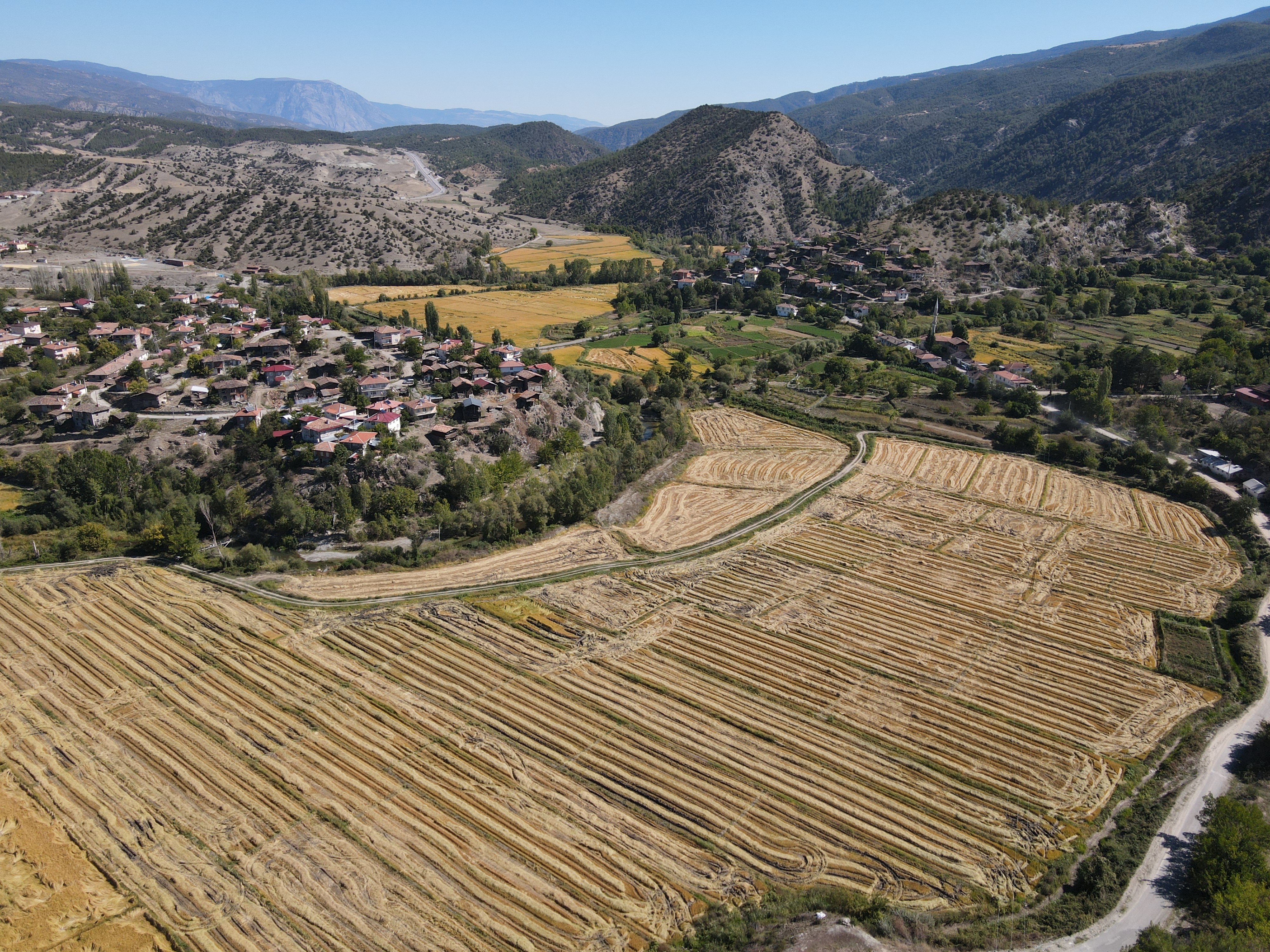 Susuzluk Tosya Pirincini Vurdu! (3)