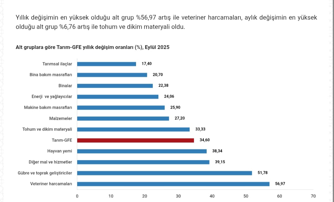1B23F16D 16Bd 4D63 85E3 De7794C76479
