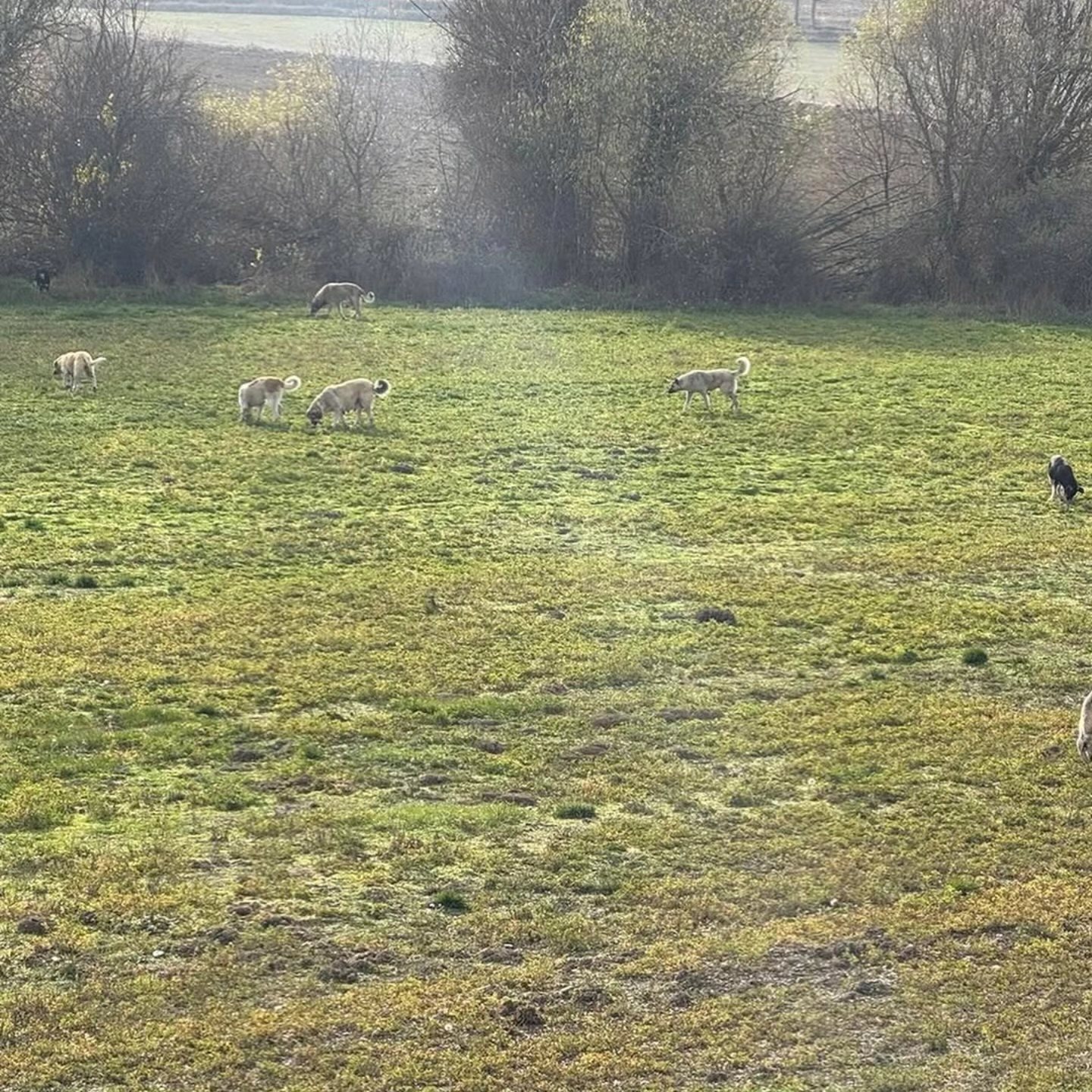 584959417 1375345164601546 8548666360799022792 N