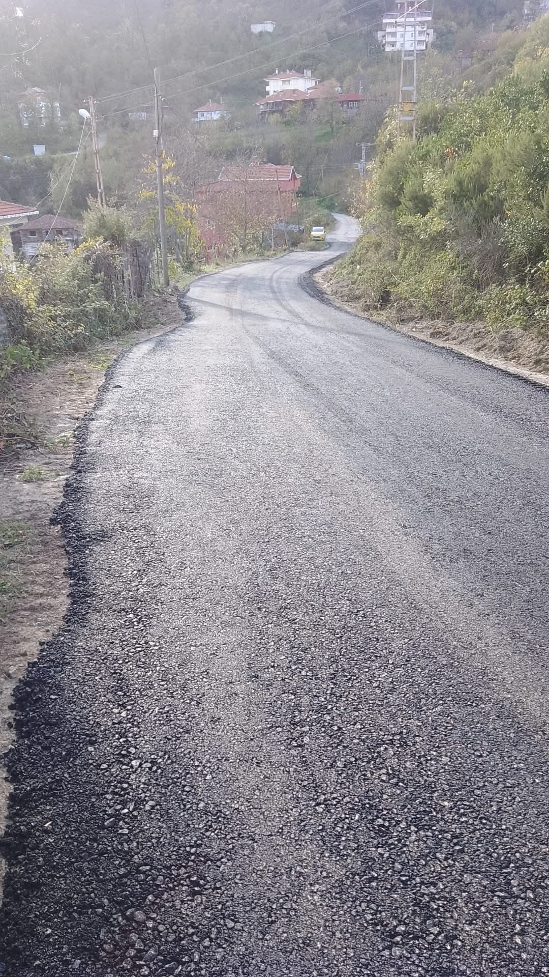 5Eea22C5 B0Ff 44D7 9738 49D61Ca2Cc7F