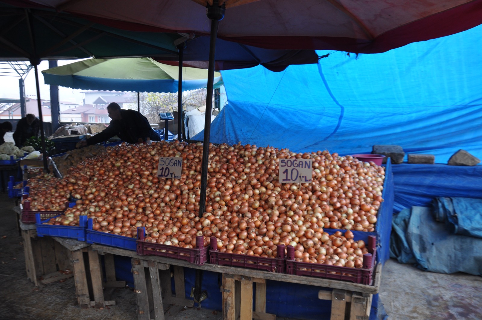 Carsamba Pazarı Bolluk Ve Ucuzluk (1)