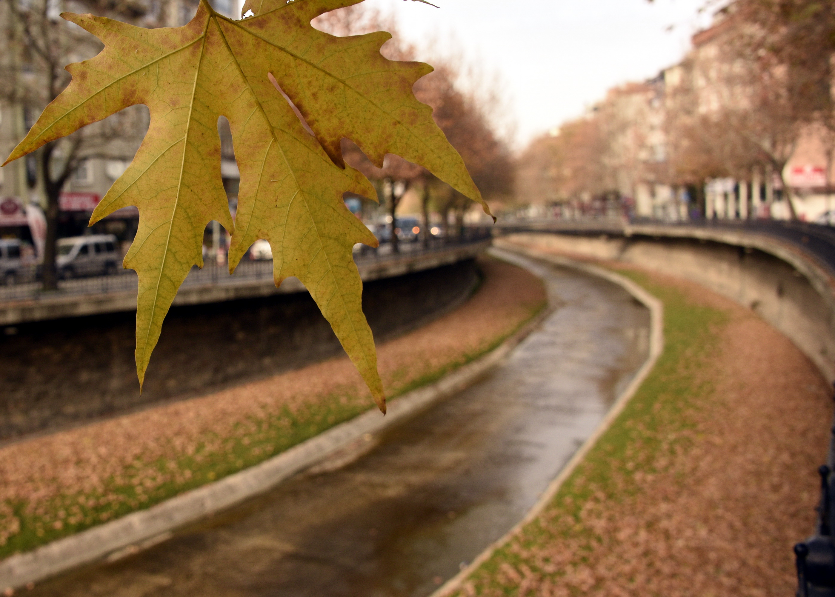 Cebrail Keleş 15 Kasım Köşe (1)