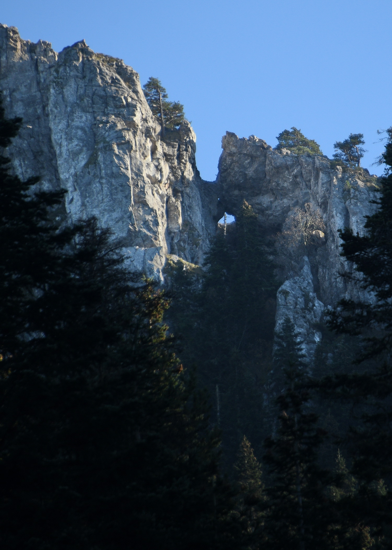 Cebrail Keleş Köşe Yazısı 8 Kasım (2)