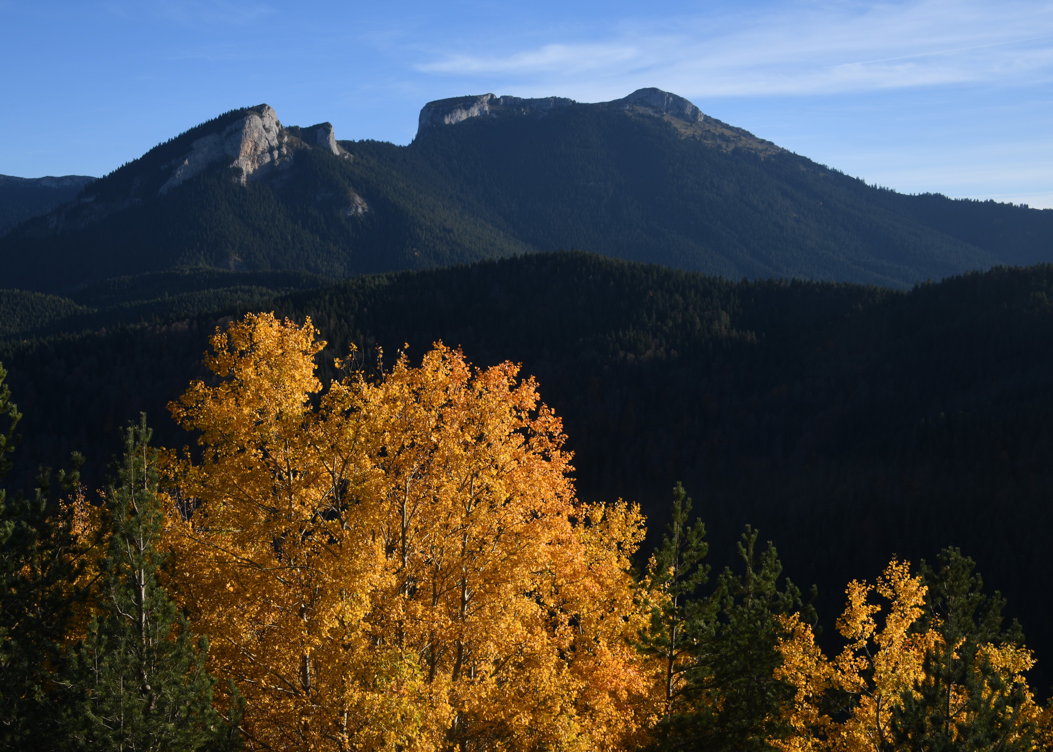 Cebrail Keleş Köşe Yazısı 8 Kasım (3)