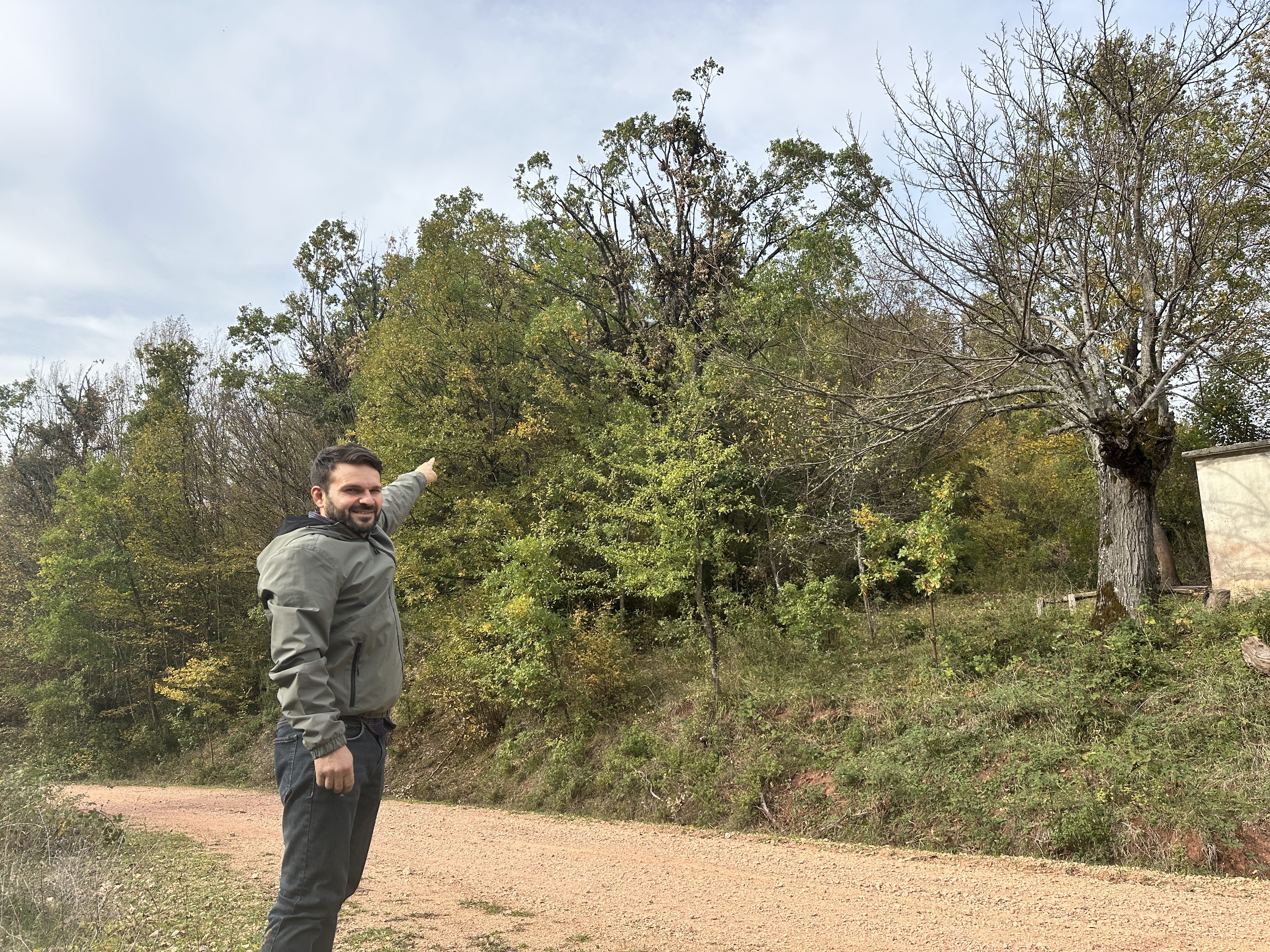 Cide’de Ayı Ailesinin Meşe Palamudu Ziyafeti Kamerada (3)
