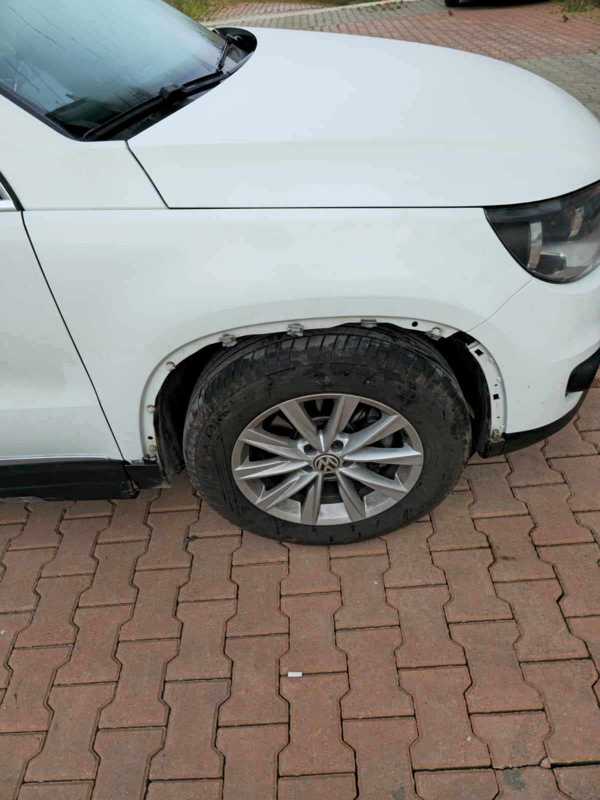 Cide’de Sokak Köpekleri Otomobili Kemirerek Parçaladı (2)