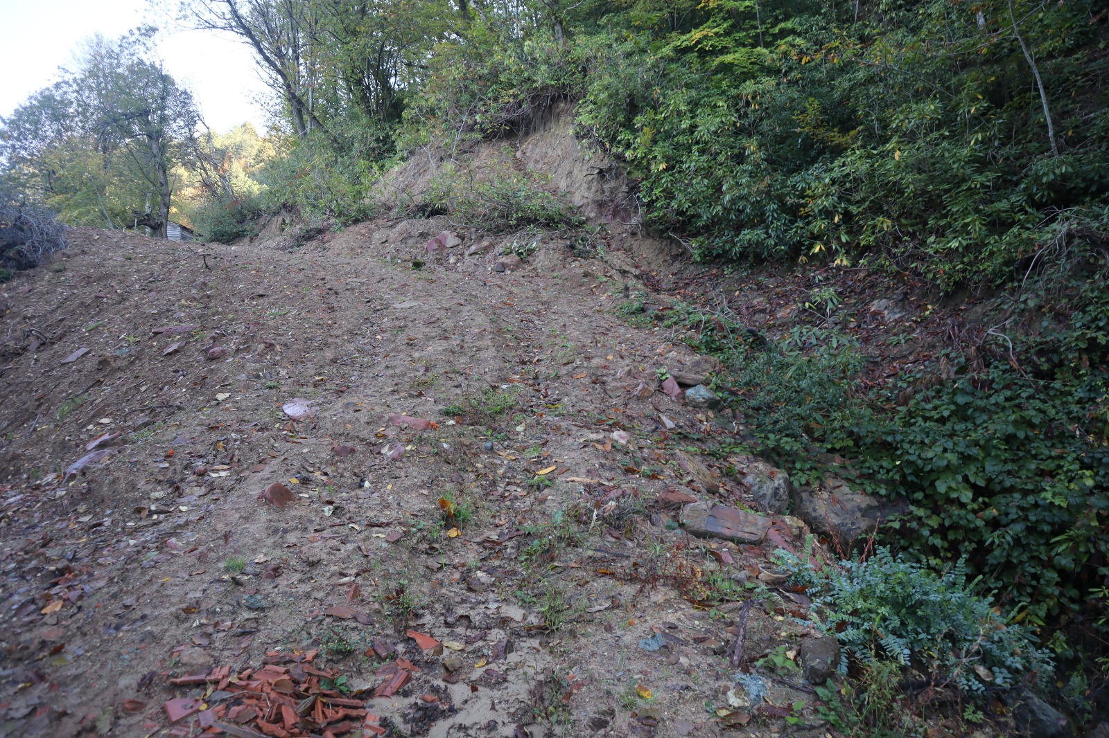 F3D95A2F 4Eaf 4F4D A94D 6Bccde0B2786