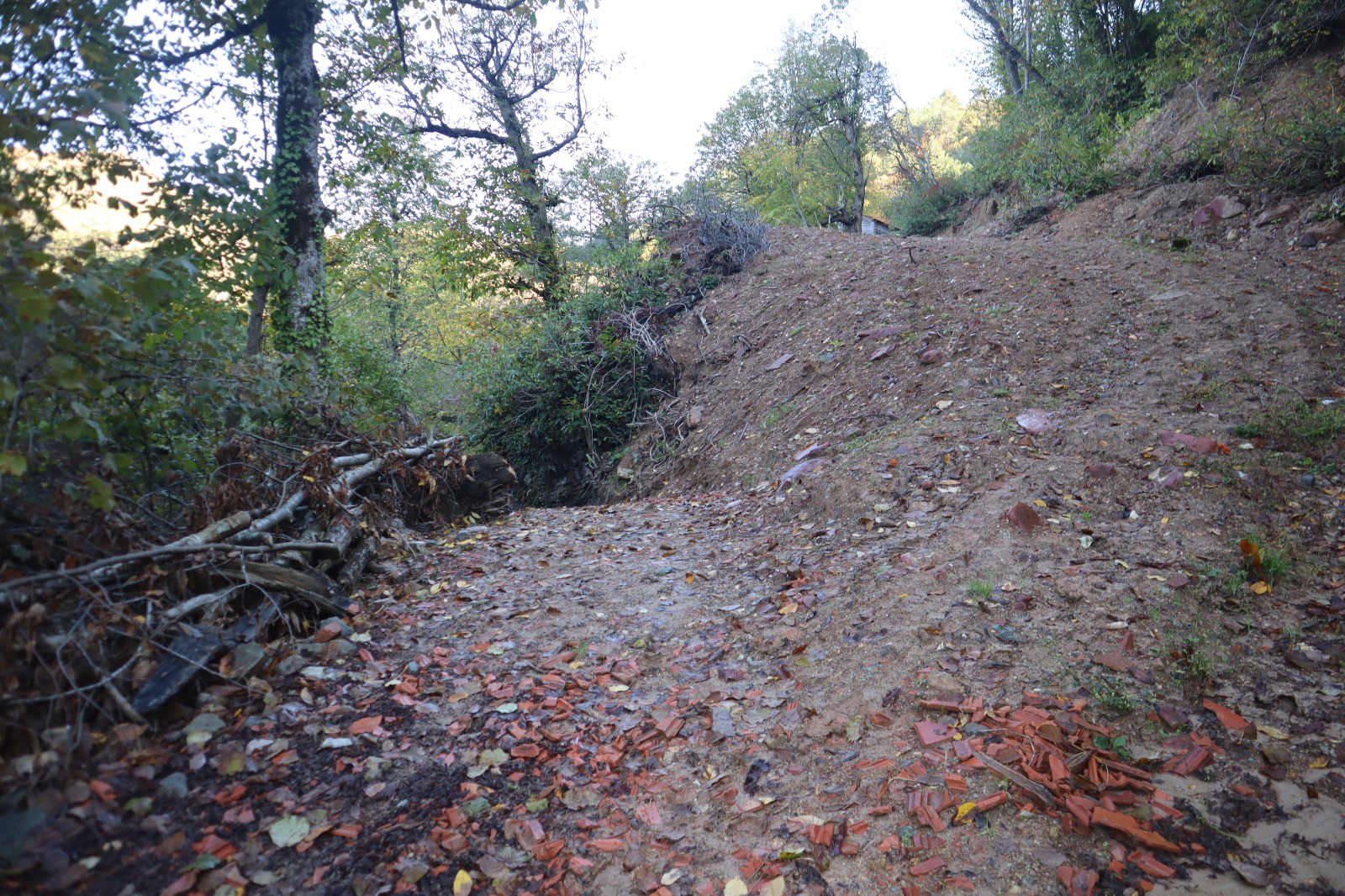 F9E55Fd6 Ee1A 4E4C B1F5 Ead69C1493Ff