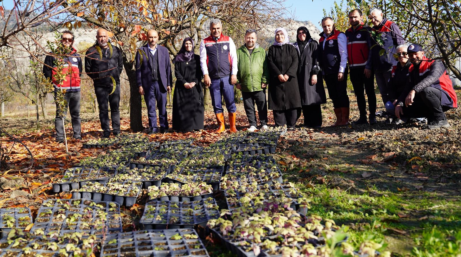 G6 Hv7 R R X Y A A Pm Q4