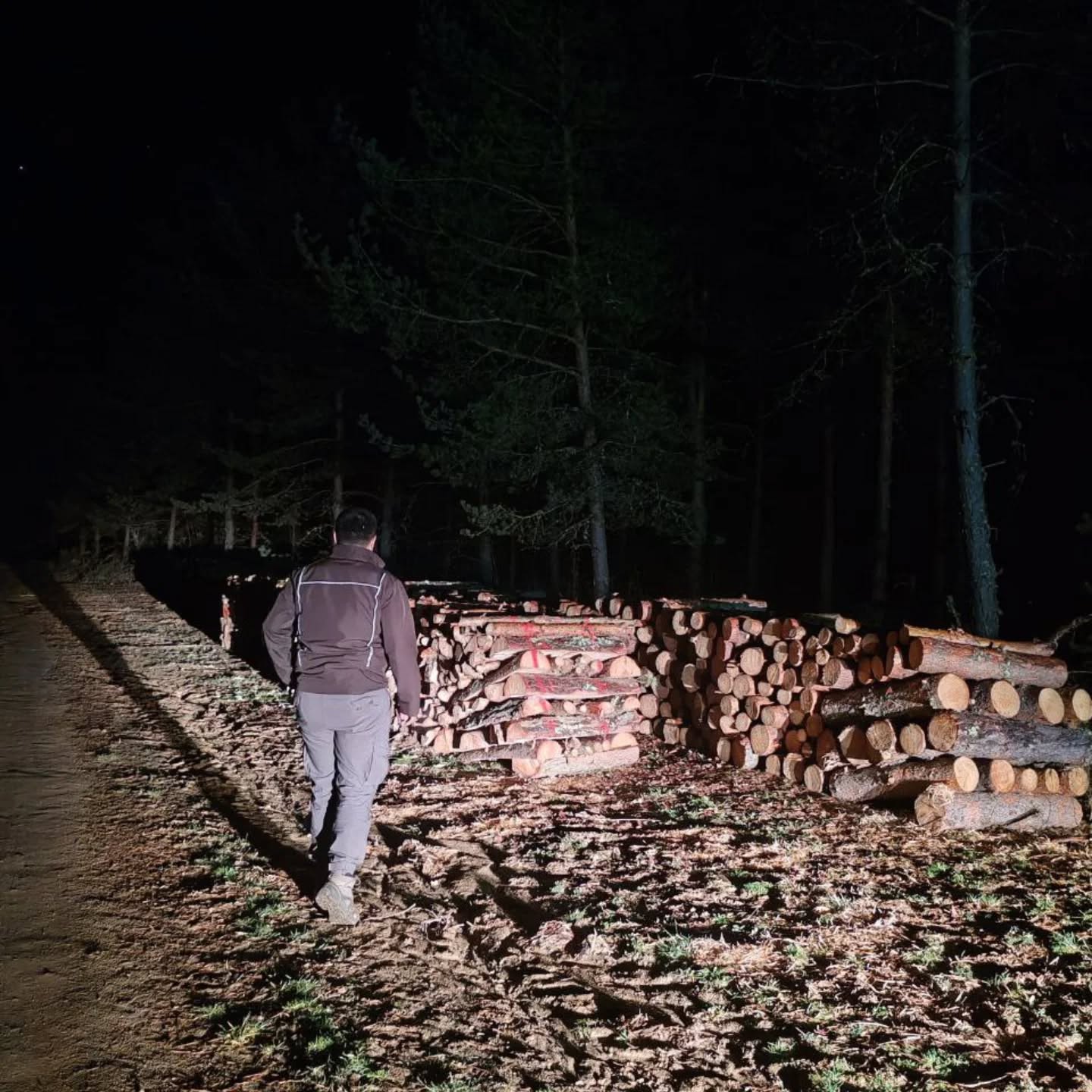 Kastamonu Ormanlarında Gece Denetimi (1)-1