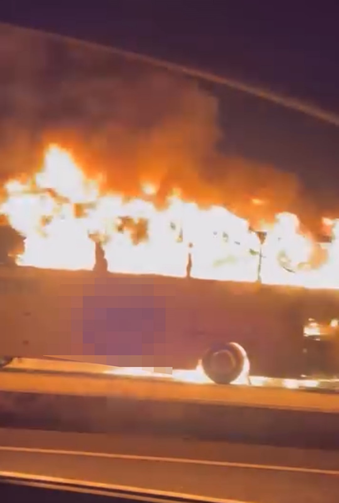 Kastamonu Seferi Facia Oluyordu (1)